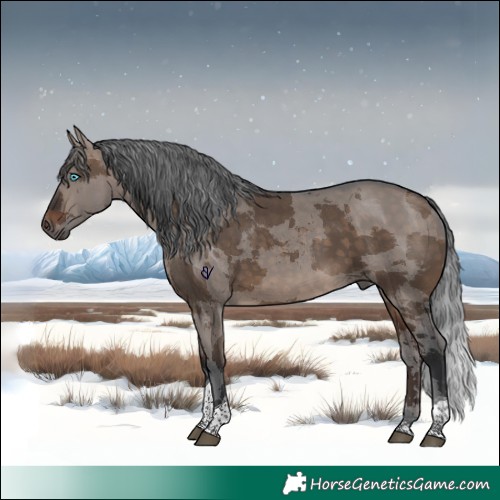 Horse Color:Brown Dun Merle Tobiano 