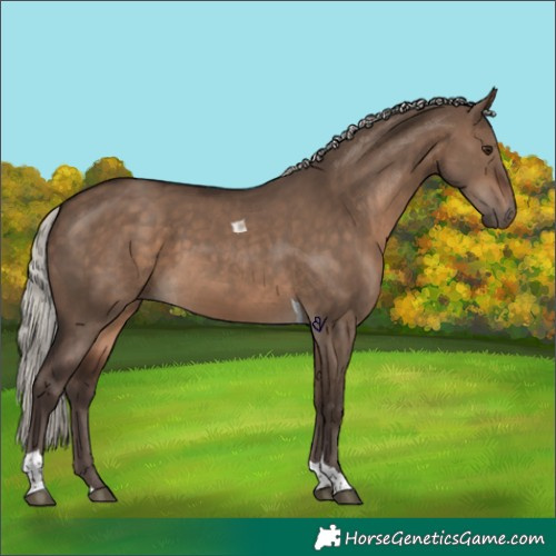Horse Color:Silver Brown Dun Tobiano 