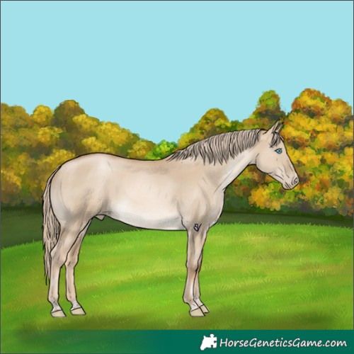 Horse Color:Chocolate Palomino Pearl Dun