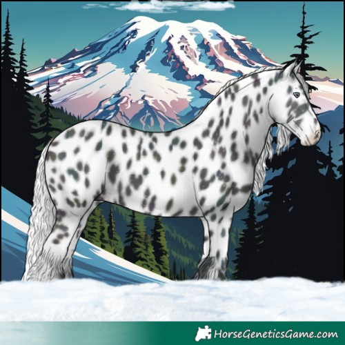Horse Color:Watercolor Midnight Chocolate Silver Buckskin Chinchilla Ice Dun Harlequin Merle Skewed LP Spotted 