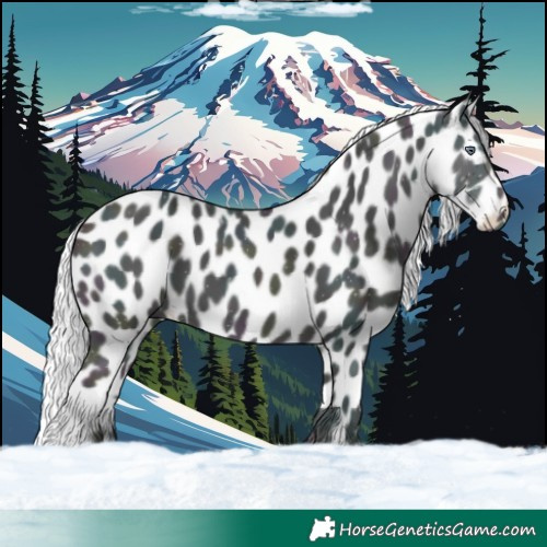 Horse Color:Watercolor Midnight Chocolate Silver Buckskin Chinchilla Ice Dun Harlequin Merle Skewed LP Spotted 