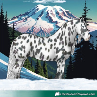 Horse Color:Watercolor Midnight Chocolate Silver Buckskin Chinchilla Ice Dun Harlequin Merle Skewed LP Spotted