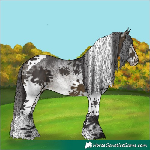 Horse Color:White Spotted Buckskin Tobiano 