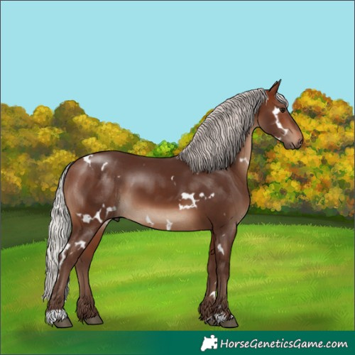 Horse Color:White Spotted Silver Brown 