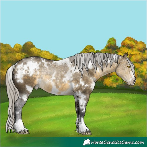 Horse Color:White Spotted Silver Buckskin Dun 