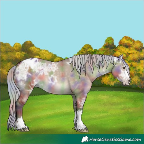 Horse Color:Nacre Silver Brown Ice Dun Varnish 