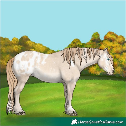 Horse Color:White Spotted Perlino Dun Blanket 