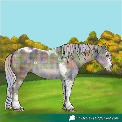 Horse Color:Nacre Plaid  Silver Brown Splash Tobiano 