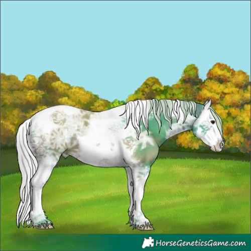 Horse Color:Watercolor Silver Brown Ice Splash Tobiano