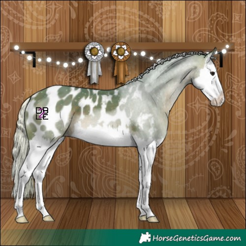 Horse Color:Watercolor Silver Brown Splash Appaloosa 
