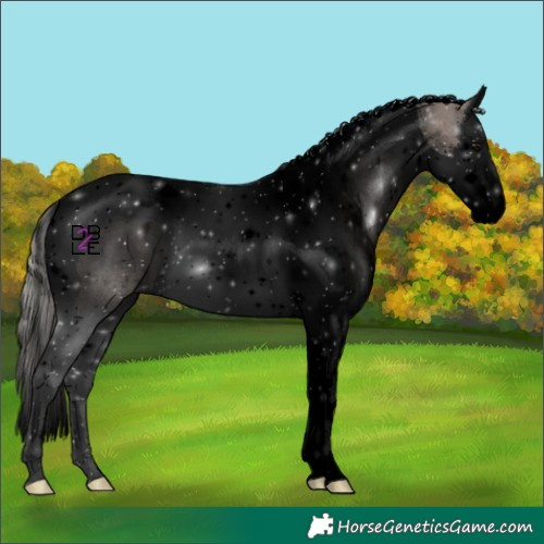 Horse Color:Void Silver Black Splash Tobiano 