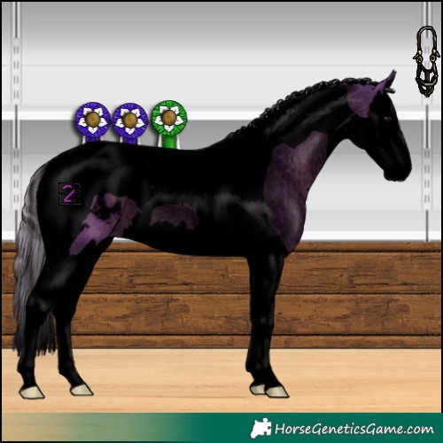 Horse Color:Void Watercolor Silver Black Splash Tobiano Appaloosa 