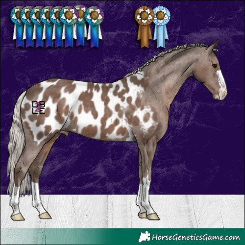 Horse Color:Silver Black Blanket