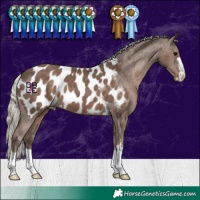 Horse Color:Silver Black Blanket