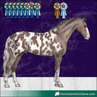 Horse Color:Silver Black Blanket 