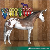 Horse Color:Brown Splash Blanket 