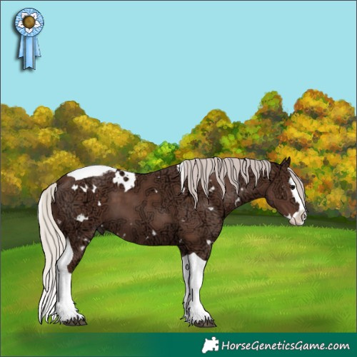 Horse Color:White Spotted Silver Black Ice Splash Tobiano 