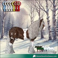 Horse Color:White Spotted Silver Black Ice Splash Tobiano
