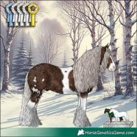 Horse Color:White Spotted Silver Black Ice Splash Tobiano