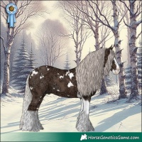 Horse Color:White Spotted Silver Black Ice Splash Tobiano 