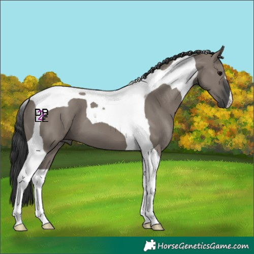 Horse Color:Grullo Tobiano 
