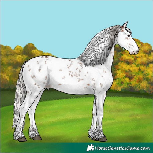 Horse Color:White Spotted Silver Brown Sabino 