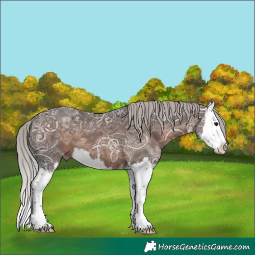 Horse Color:White Spotted Silver Brown Ice Splash 