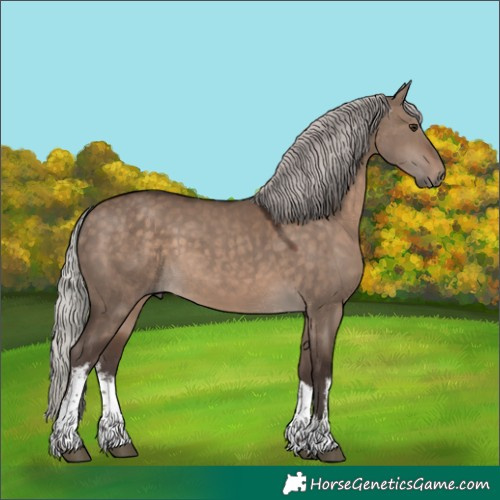 Horse Color:White Spotted Silver Brown Dun 