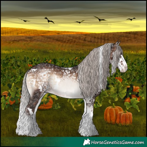 Horse Color:White Spotted Silver Brown Ice Onyx Sabino Splash Rabicano 
