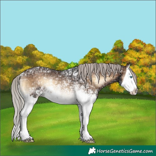 Horse Color:Silver Brown Ice Onyx Sabino Splash Rabicano 