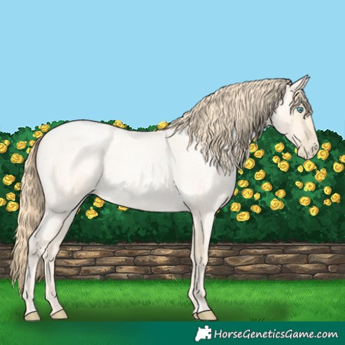 Horse Color:Buckskin Roan Pearl  and Buckskin Roan Pearl 