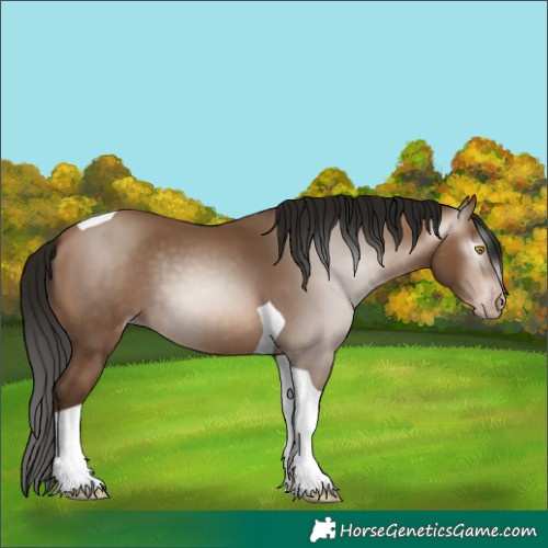 Horse Color:Gray Amber Champagne Tobiano 