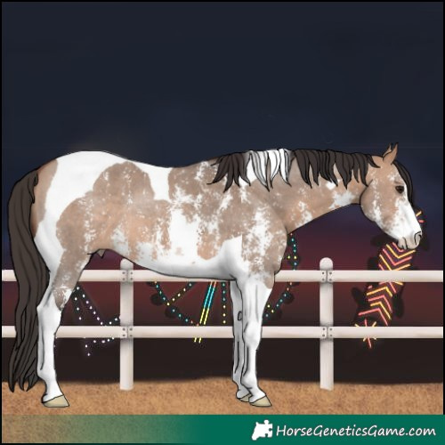 Horse Color:Bay Dun Sabino Tobiano 