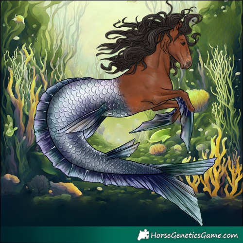 Horse Color:Bay Sabino Rabicano  and Bay Sabino Rabicano 