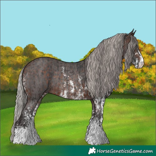 Horse Color:Brown Sabino Rabicano  and Silver Brown Sabino Rabicano 