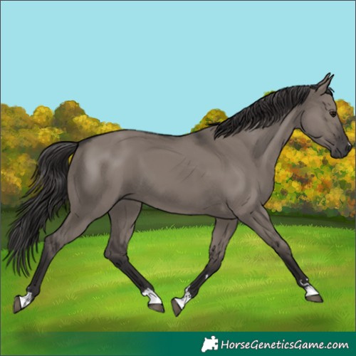 Horse Color:Smoky Grullo 