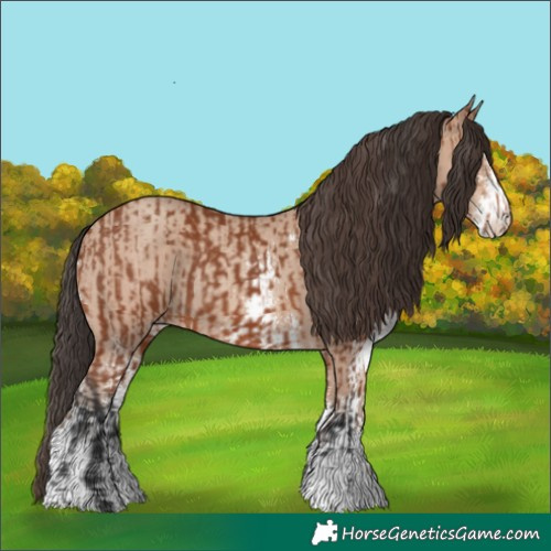 Horse Color:Bay Sabino Rabicano and Amber Champagne Sabino Rabicano