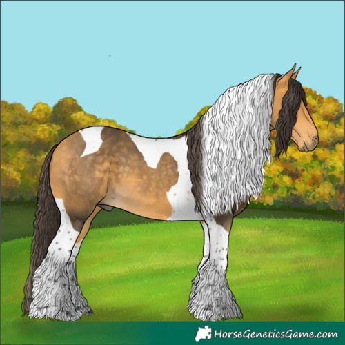 Horse Color:Buckskin Tobiano 