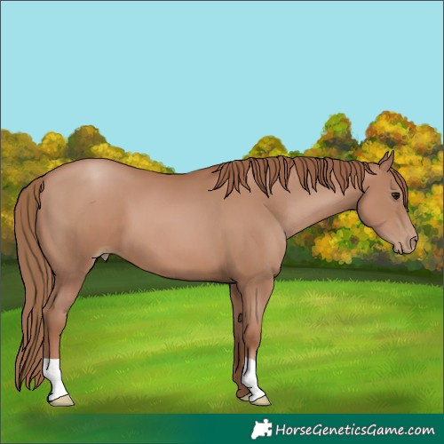 Horse Color:Black Pearl 