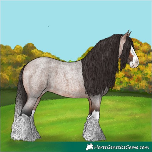 Horse Color:Bay Roan Splash 