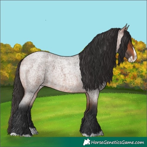 Horse Color:Bay Roan Splash 