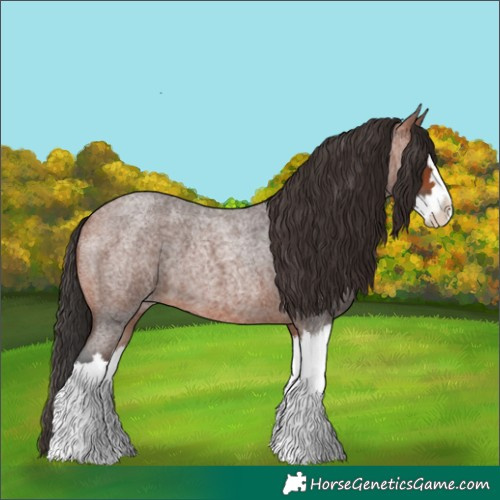 Horse Color:Bay Roan Splash 