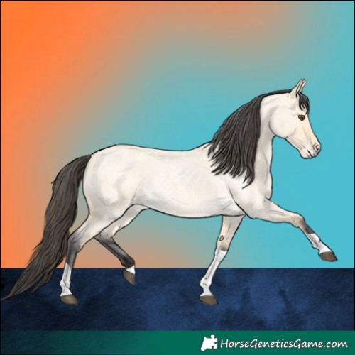 Horse Color:Buckskin Roan Dun Tobiano 