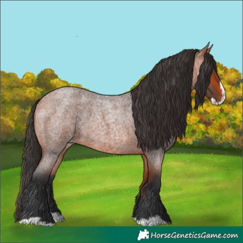Horse Color:Bay Roan Splash