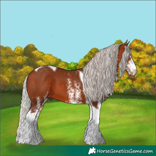 Horse Color:White Spotted Silver Bay Tobiano 