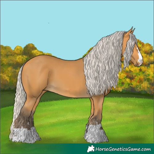 Horse Color:Silver Buckskin 