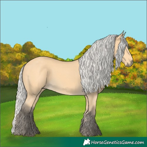 Horse Color:Silver Buckskin 