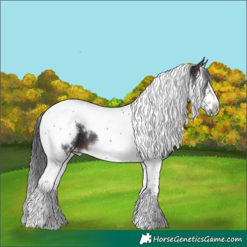 Horse Color:White Spotted Brown Splash Tobiano Frame