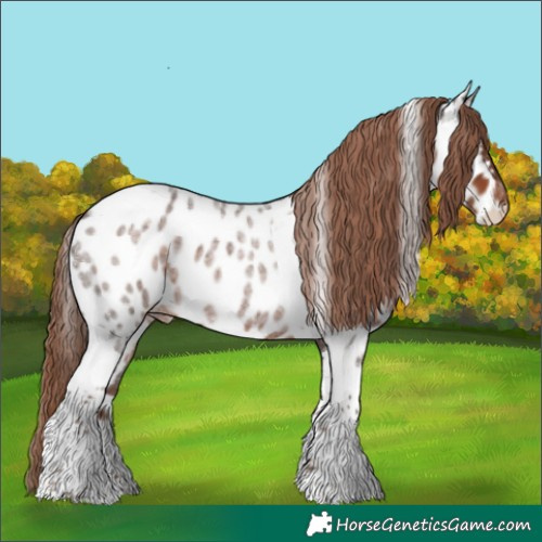 Horse Color:Liver Red Roan Tobiano Appaloosa Rabicano