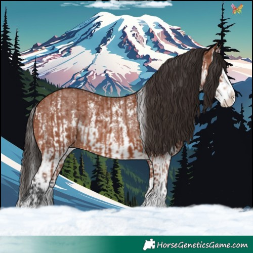 Horse Color:Bay Sabino Splash Rabicano  and Bay Sabino Splash Rabicano 